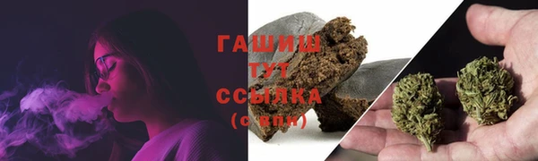 ПСИЛОЦИБИНОВЫЕ ГРИБЫ Богданович