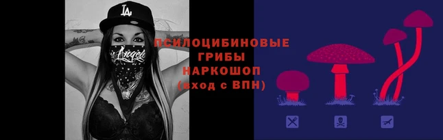 ПСИЛОЦИБИНОВЫЕ ГРИБЫ Богданович