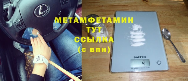 ПСИЛОЦИБИНОВЫЕ ГРИБЫ Богданович