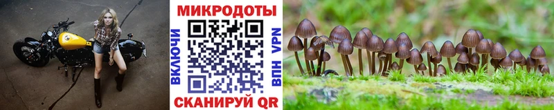 блэк спрут ONION Пестово Псилоцибиновые грибы ЛСД закладки